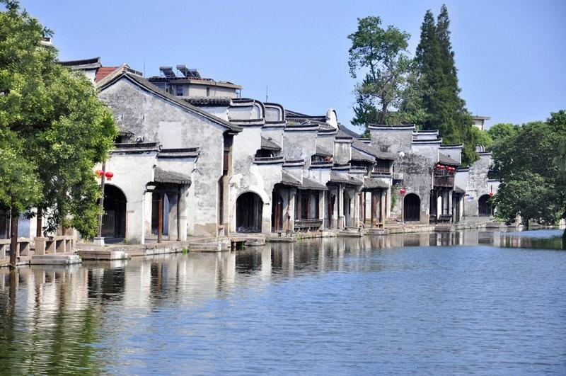 这些在上海生长的梅花你都见过吗?识梅攻略请查收